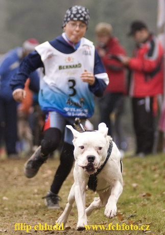 Tri studne podzim 08 - 565.jpg